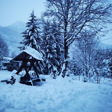 Cabana Valea Rea, Boga Boga  Exteriér fotografie