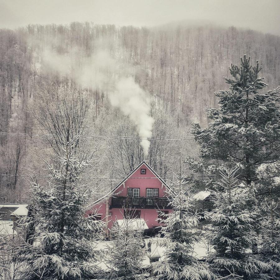 Cabana Valea Rea, Boga Boga  Exteriér fotografie