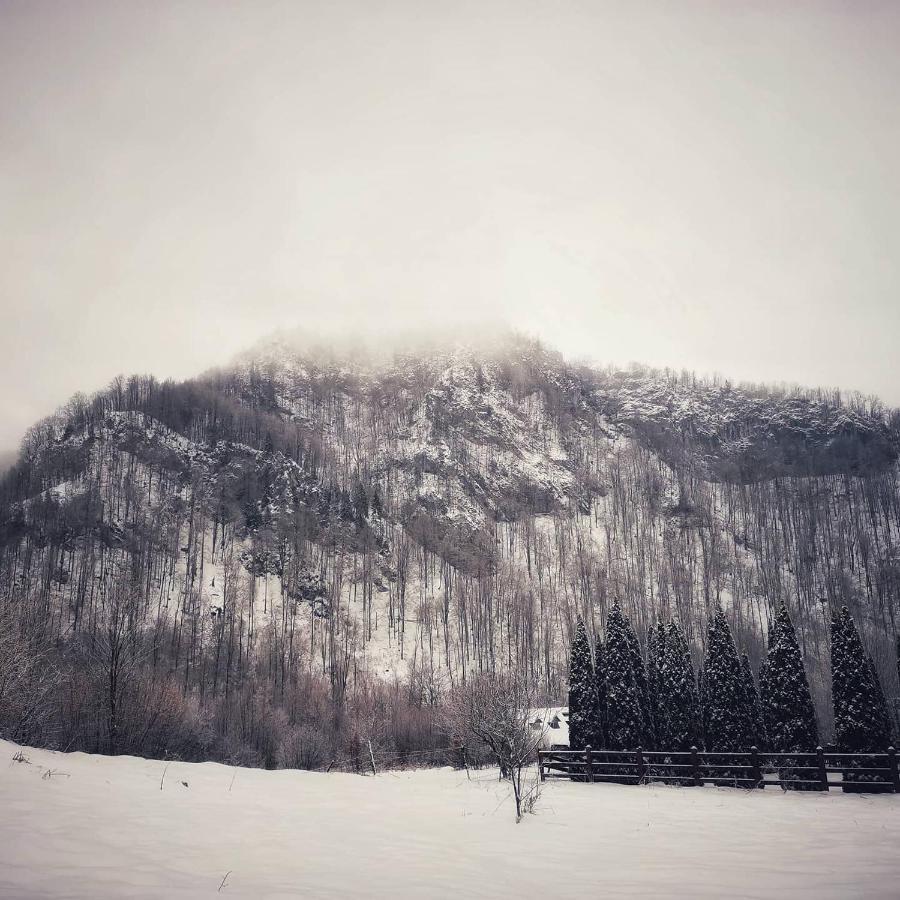 Cabana Valea Rea, Boga Boga  Exteriér fotografie