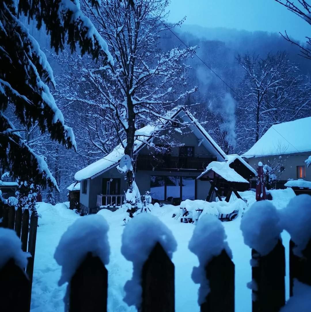 Cabana Valea Rea, Boga Boga  Exteriér fotografie