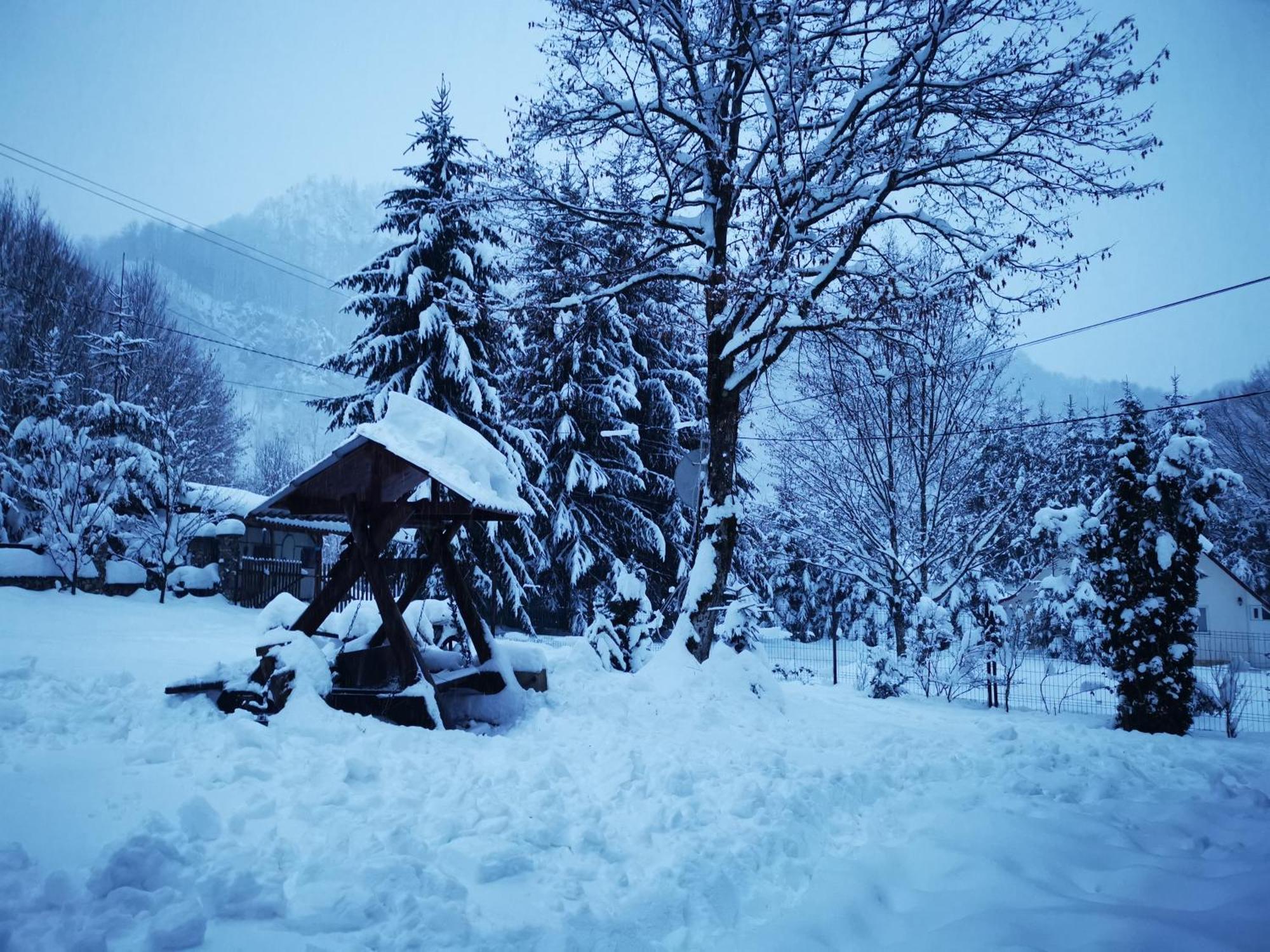 Cabana Valea Rea, Boga Boga  Exteriér fotografie