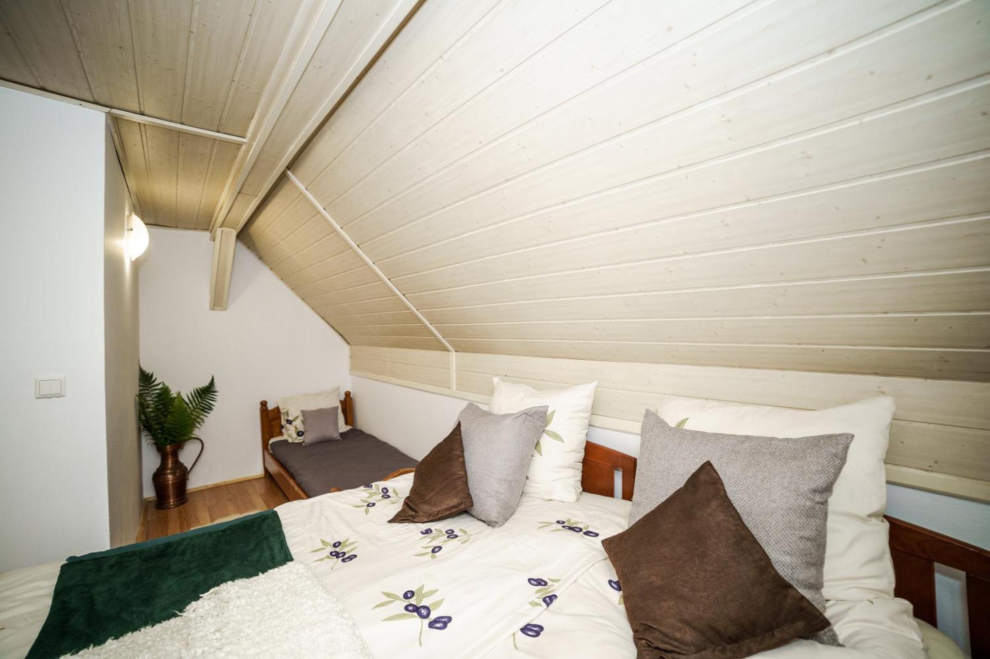 Cabana Valea Rea, Boga Boga  Exteriér fotografie